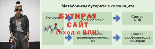 гидра Верея