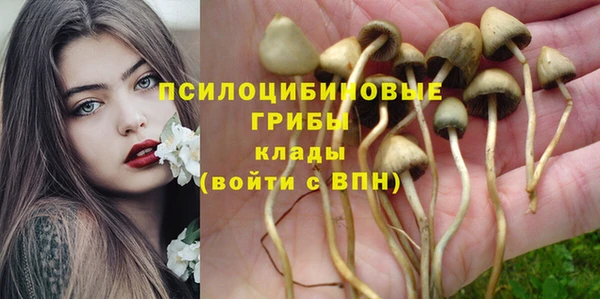 первитин Волоколамск