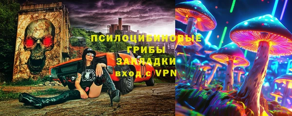 хмурый Верхний Тагил